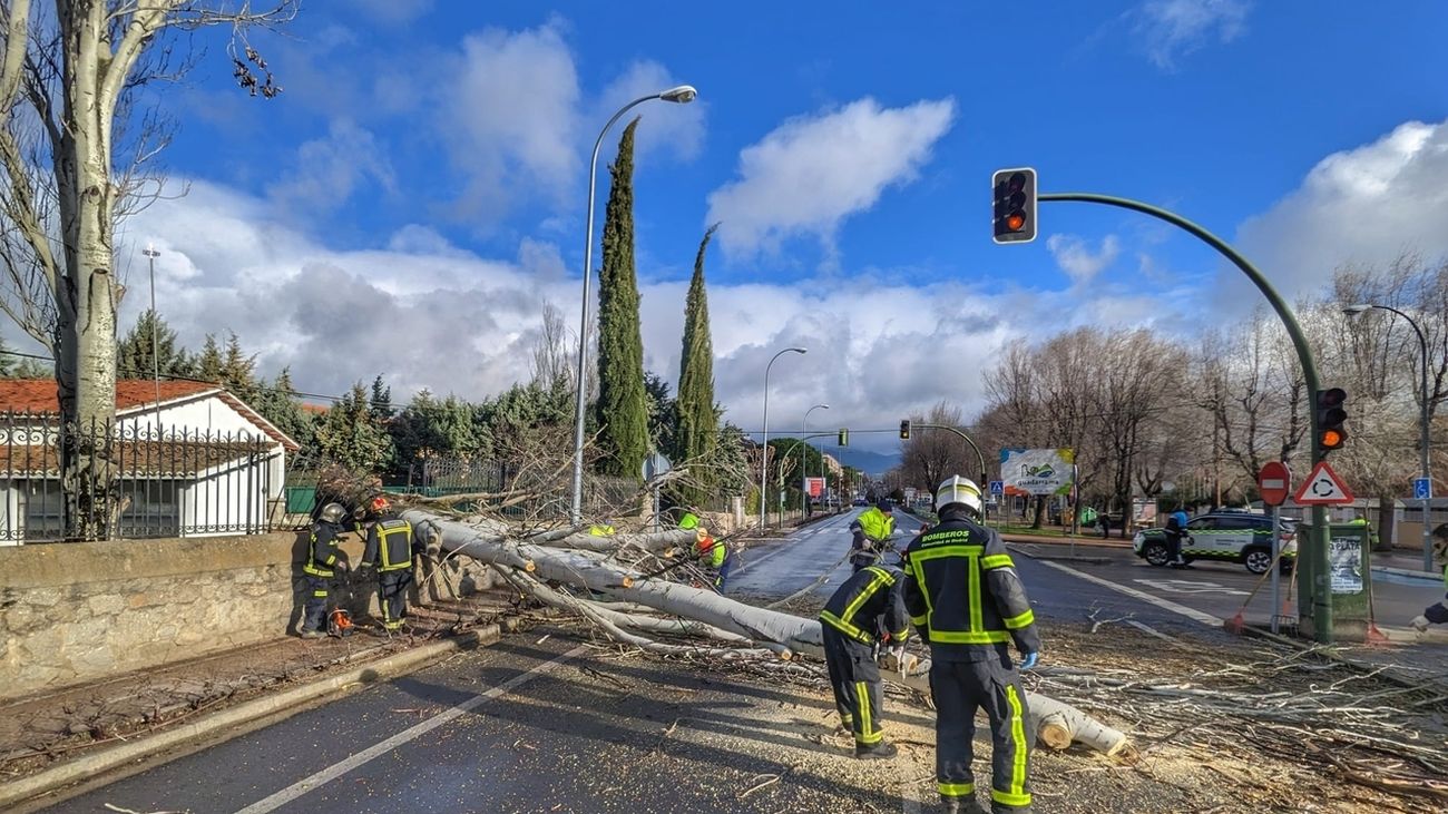 Bomberos de la Comunidad retiran un árbol caído sobre una calle