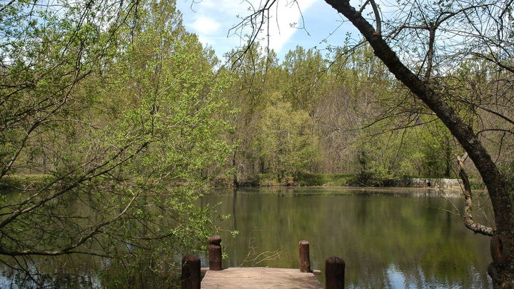 El Bosque de Finlandia, en Rascafría / COMUNIDAD DE MADRID