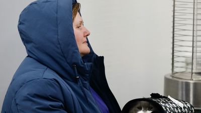 Madrid acoge a más de 23.500 ucranianos cuando se cumple un año de la guerra en Ucrania