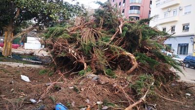 Sigue el rechazo a la reforma del parque de la Cornisa y Cibeles la defiende