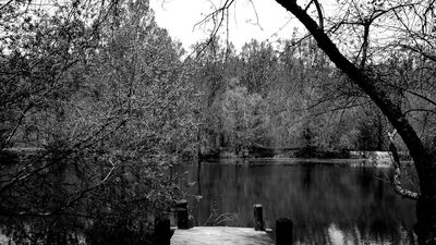 Planes de ocio en Madrid: Finlandia no está tan lejos como crees