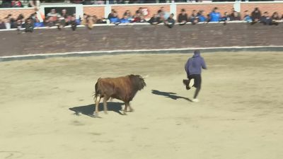 San Sebastián de los Reyes celebra sus fiestas más taurinas