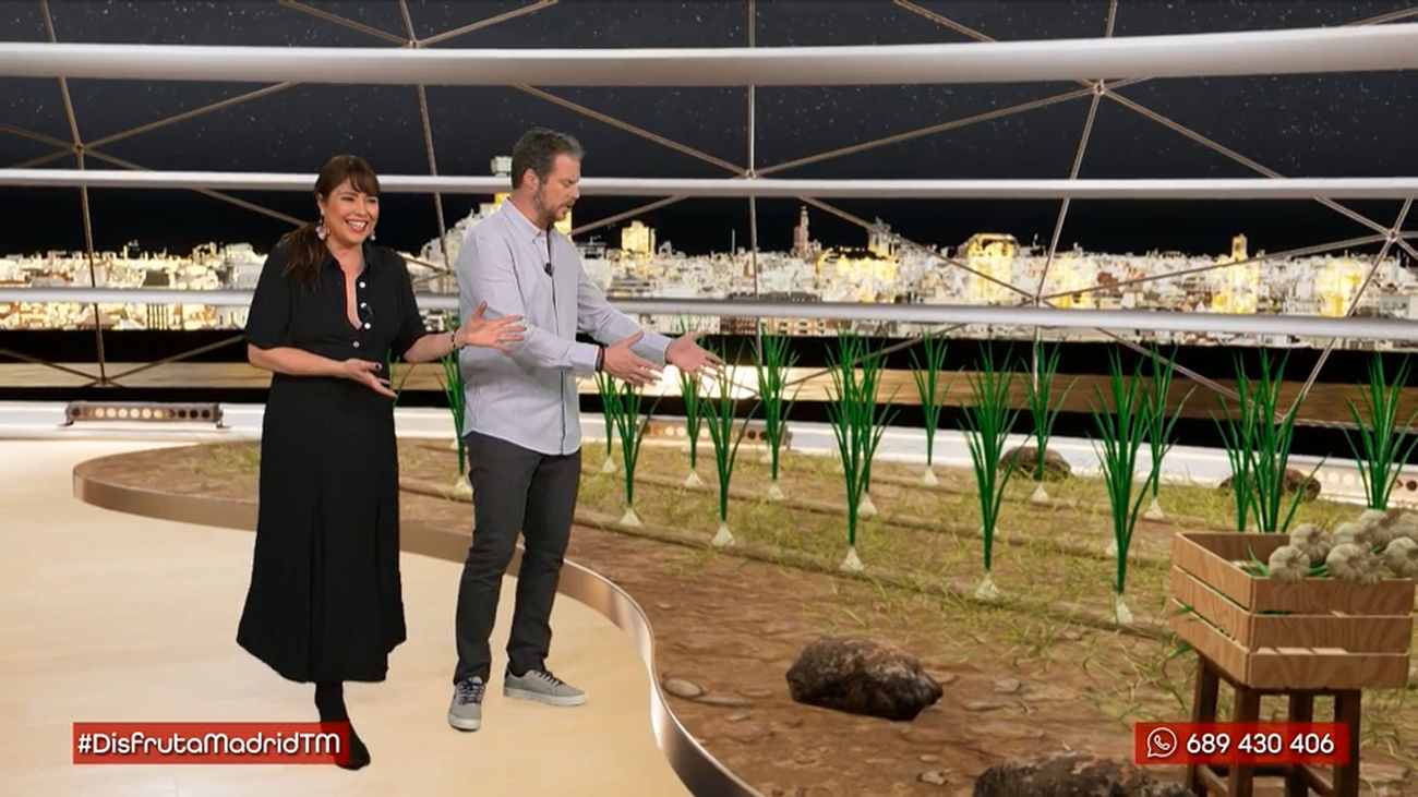 ¿Cómo se cultivan los ajos más madrileños?