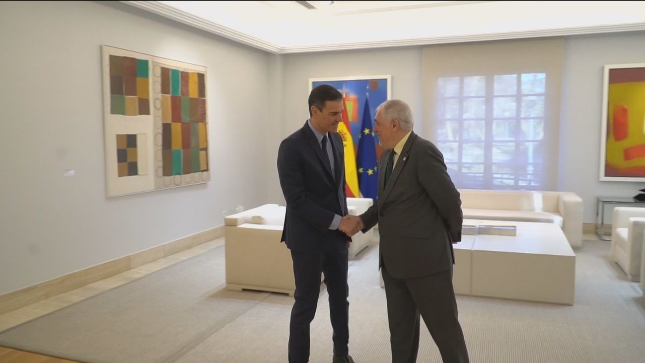 Pedro Sánchez se reúne con el nuevo presidente del Tribunal Constitucional