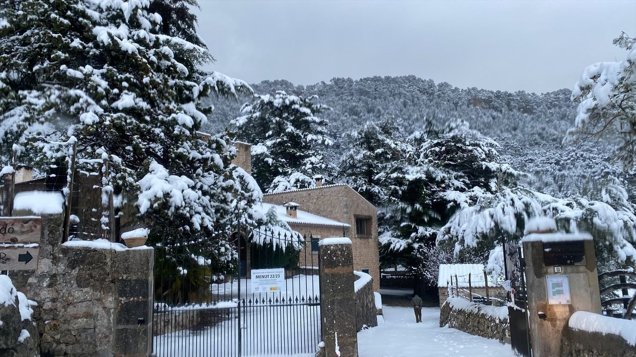 Una noche de temperaturas bajo cero deja nevadas en  Mallorca y obliga a cerrar tramos de carretera