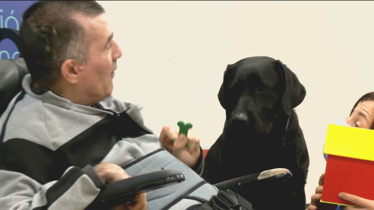 Los terapeutas perrunos: Así son las rehabilitaciones con perros