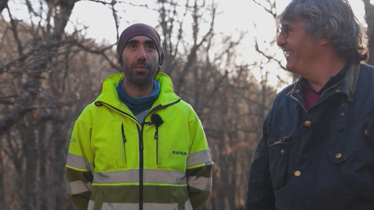 La Dehesa Bonita, uno de los entornos más hermosos de la Comunidad de Madrid