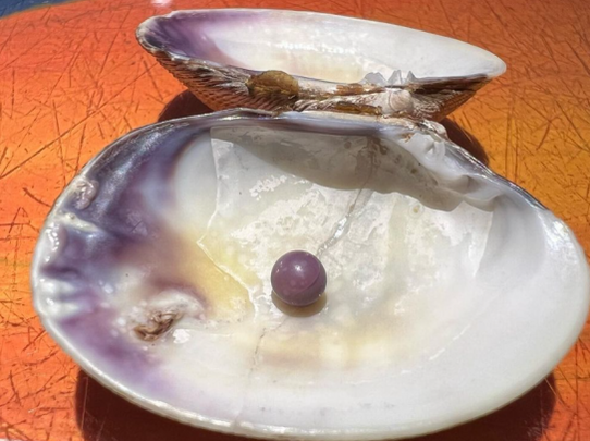 La almeja con la perla / RC