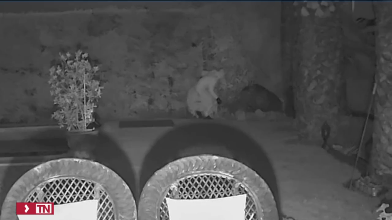 Cae una banda de albaneses especializado en robos a viviendas de la Sierra de Madrid