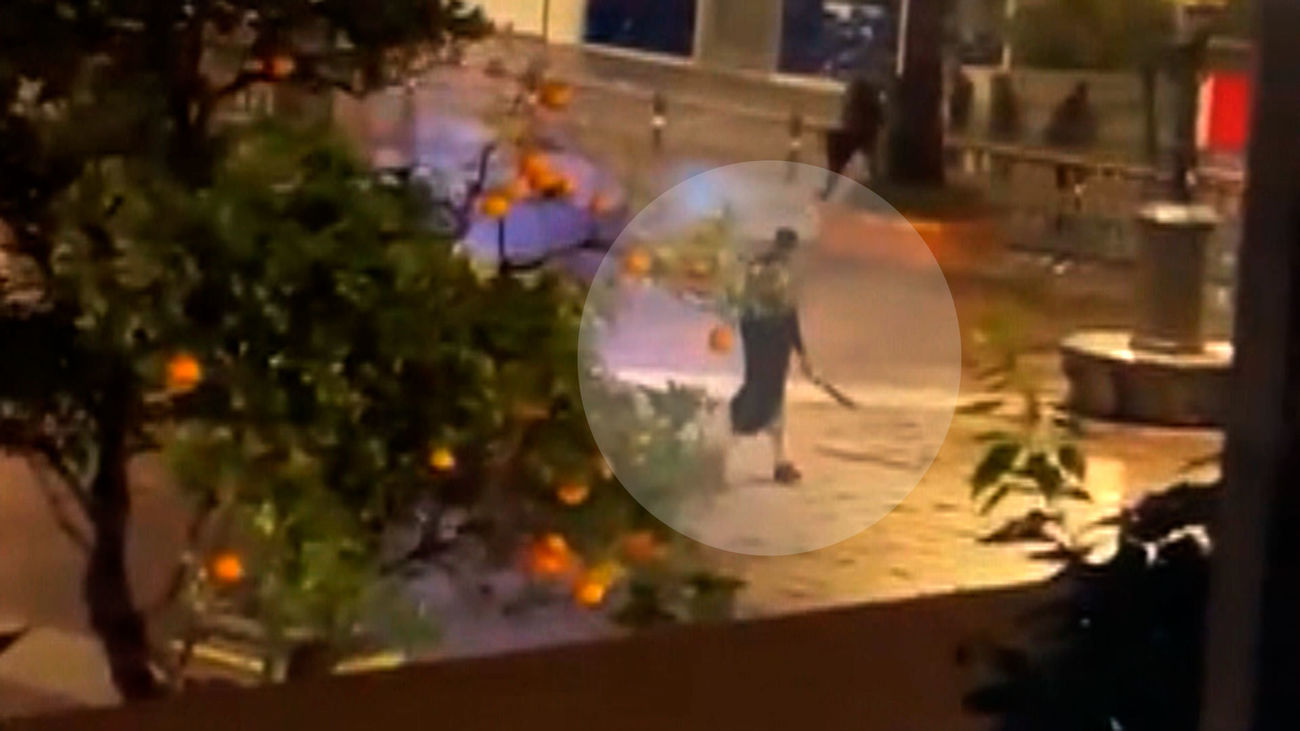 La imagen del asaltante de Algeciras captada por un vecino