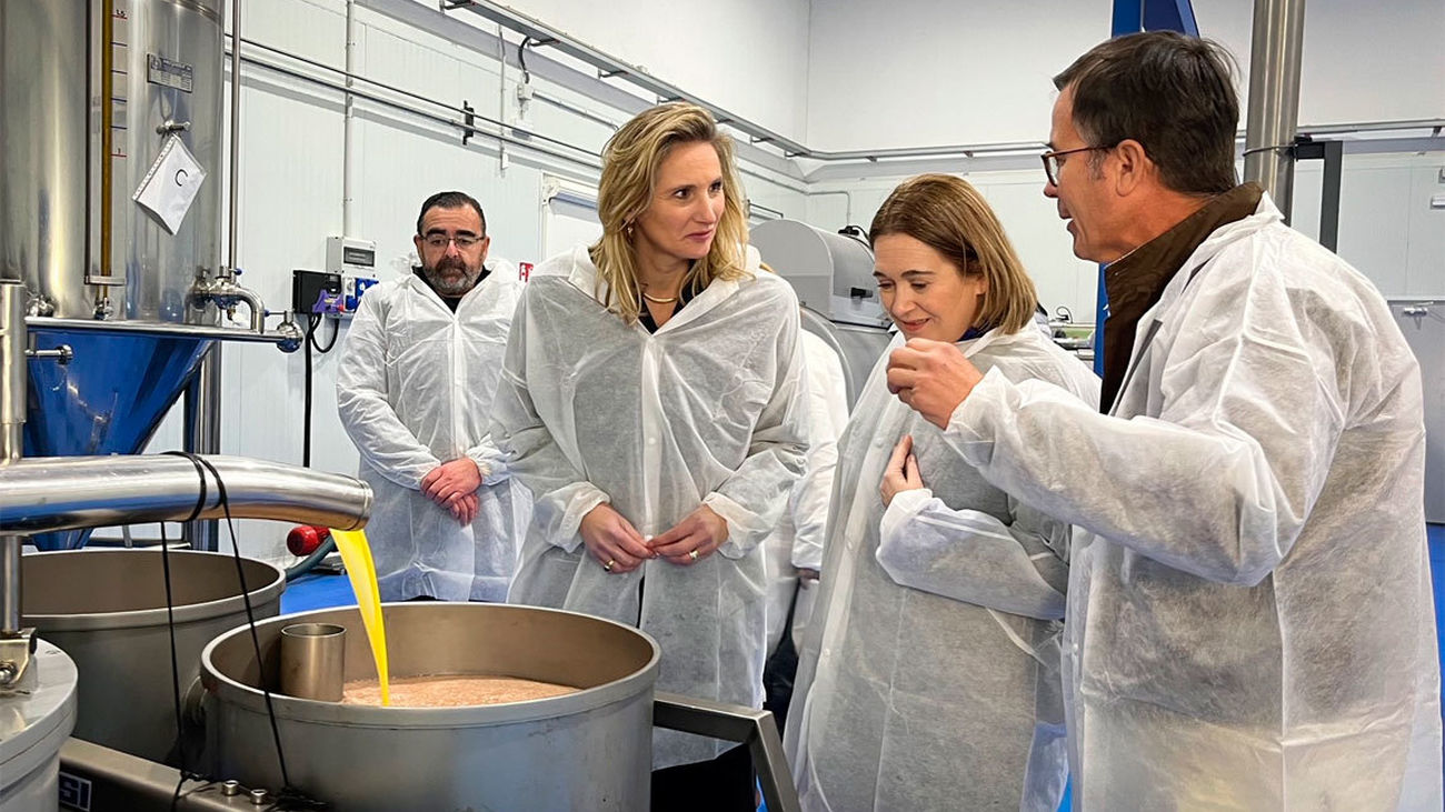 El aceite de Madrid a la espera de su reconocimiento como Denominación de Origen Protegida