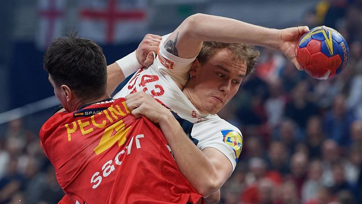 España - Dinamarca / EFE