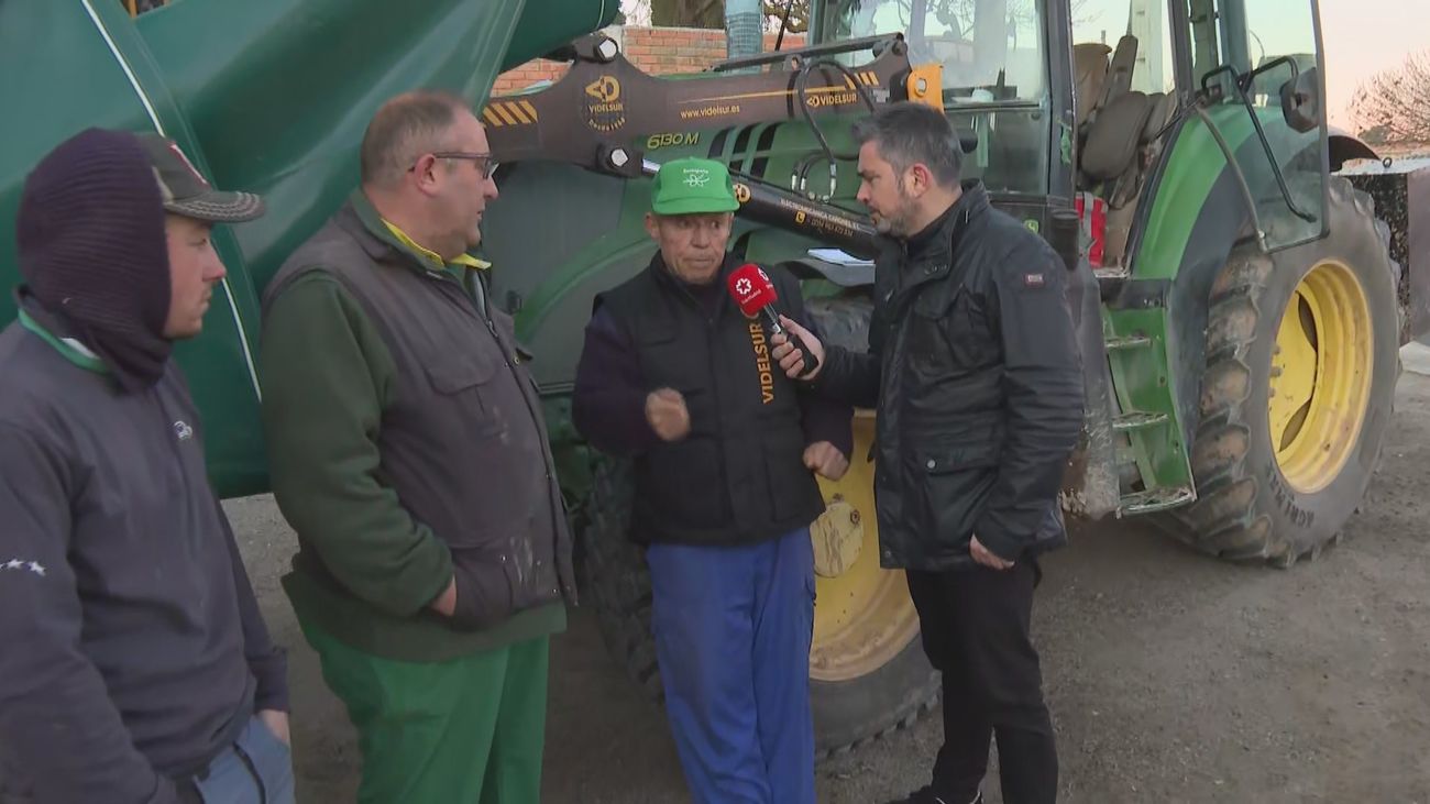 "Me han robado ya 15.000 kilos de aceitunas este año y no puedo hacer nada ¿Qué clase de país estamos haciendo?"