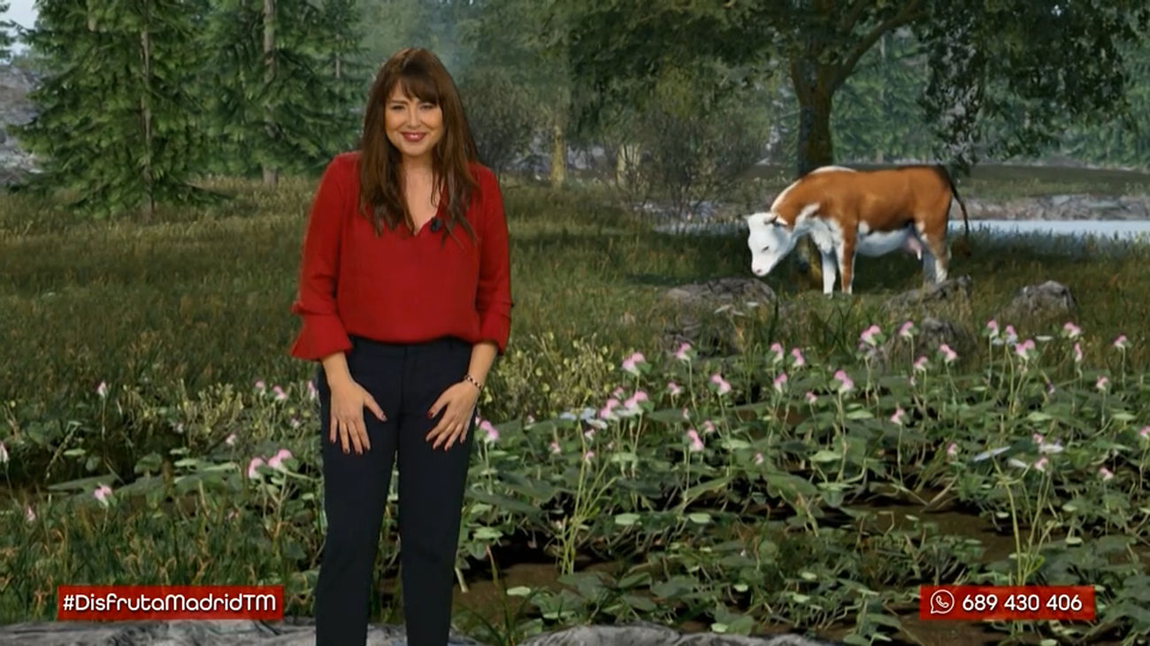 ¿Qué estamos haciendo los madrileños a favor del planeta?