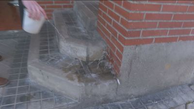 Comerciantes y vecinos, contra los orines de perros