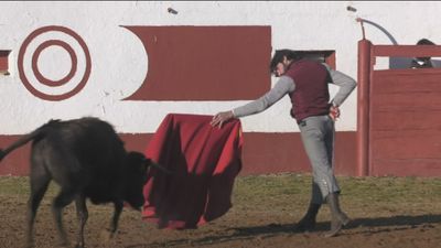 La feria taurina de Valdemorillo calienta motores