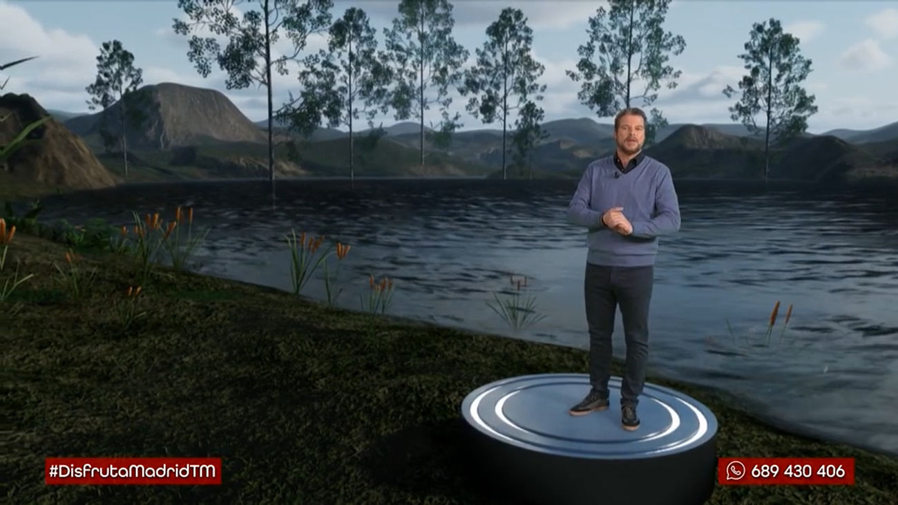 Humedales : ¿Qué son y cómo se forman?