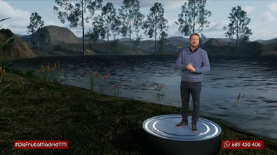 Humedales : ¿Qué son y cómo se forman?