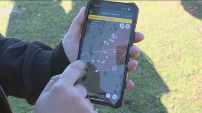 Vacas con gps y vallado virtual, bienvenidos  a la ganadería del futuro en Madrid