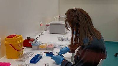 El Hospital Gregorio Marañón estrena laboratorio de cribado neonatal de detección de enfermedades