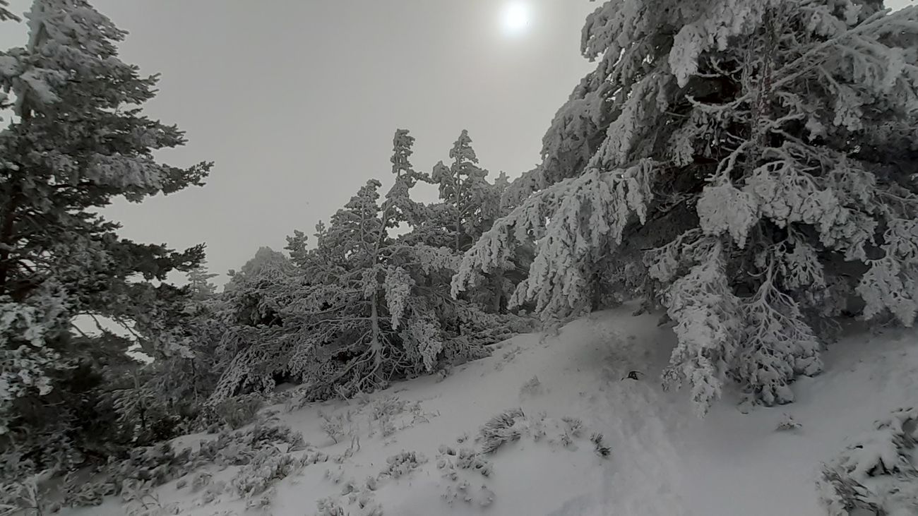 Paisaje nevado en los alrededores del Puerto de Navacerrada este invierno