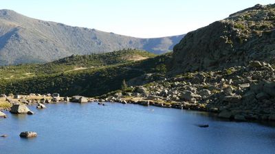 La Laguna de Peñalara lucha contra un pez invasor