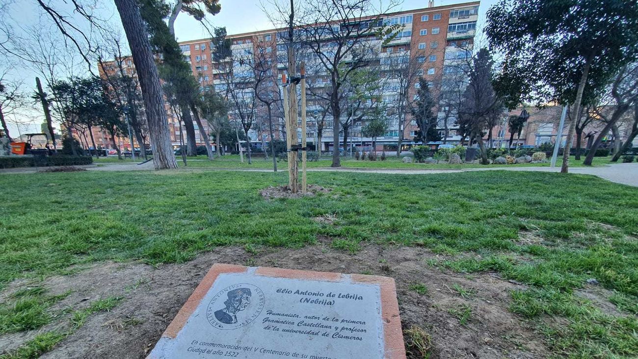 Placa y roble plantado en el Parque de O'Donnell por el V aniversario de la muerte de Antonio de Nebrija en Alcalá de Henares