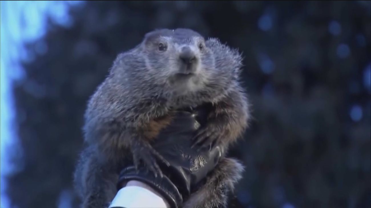 ¿Va a durar mucho más el invierno? Es el Día de la Marmota, nos lo va contar Phil