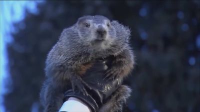 ¿Va a durar mucho más el invierno? Es el Día de la Marmota, nos lo va contar Phil