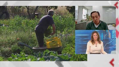 Los agricultores advierten de las consecuencias de subir el SMI, "habrá que pensar más en máquinas y no  en personas"