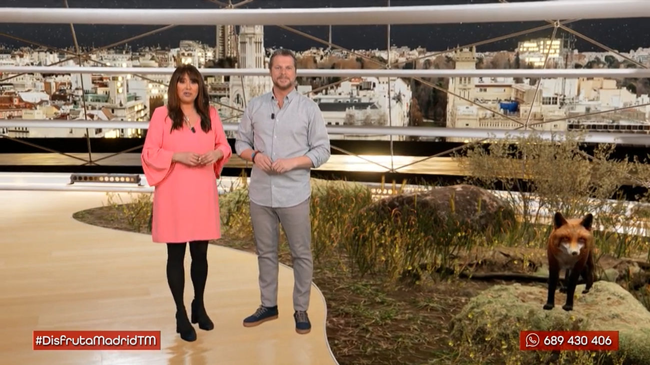 El plan familiar perfecto: aprender sobre jabalíes y zorros en Navas del Rey