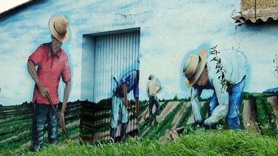 Huertos de Fuenlabrada: alimentos ecológicos, de proximidad y al alcance de todos los bolsillos