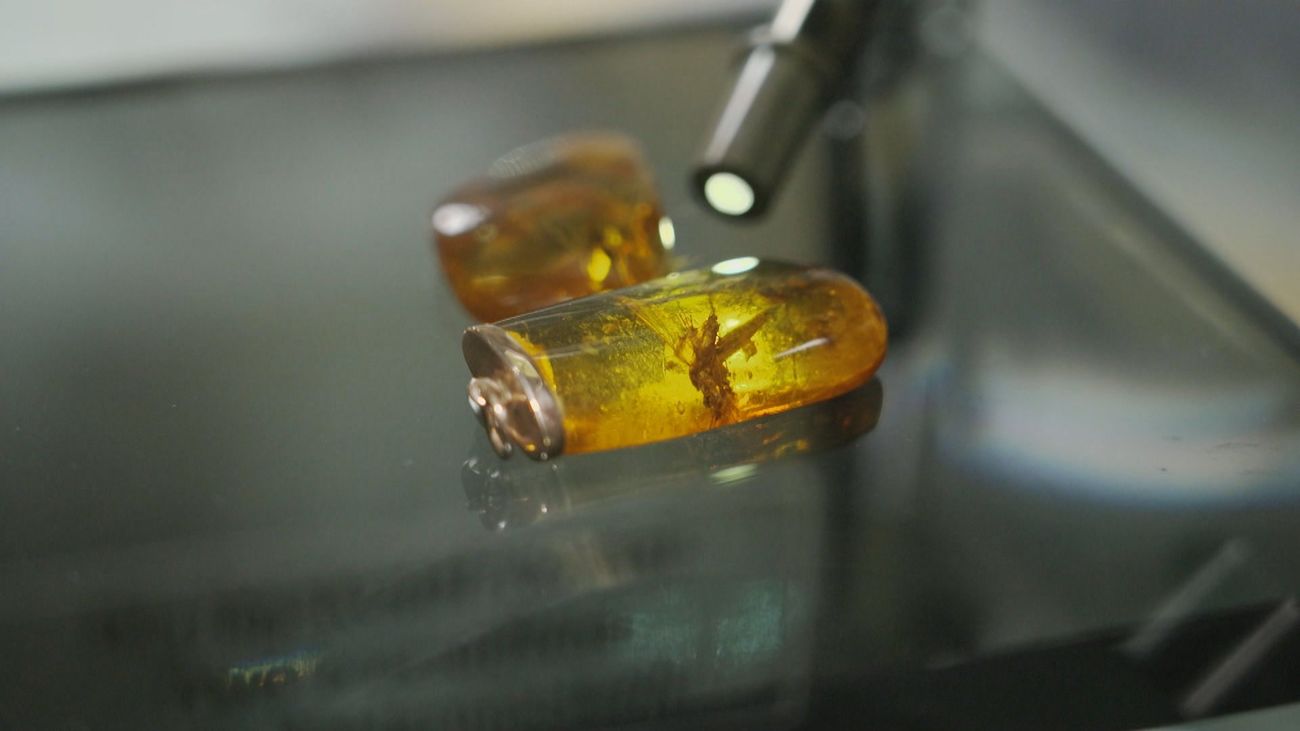 Descubrimos la joya de Lituania en el Museo del Ámbar