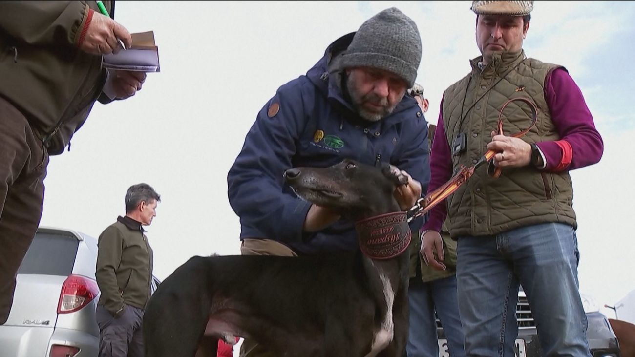 La ley de bienestar animal también enfrenta a PSOE y Podemos