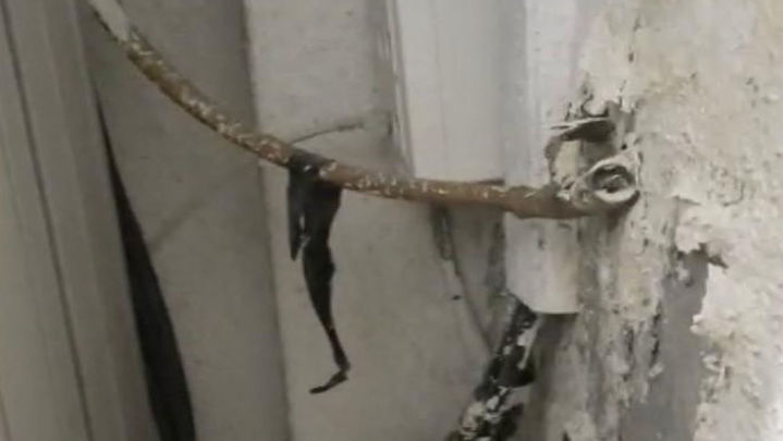 Moho y humedad / AUGC