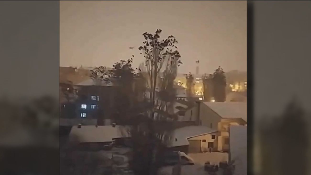 Los pájaros lo sabían, antes del terremoto tuvieron un comportamiento anómalo en Turquía