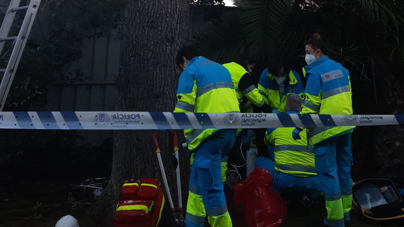 Un trabajador muere al caerse de un árbol de 10 metros en Madrid