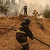 Chile detiene a 28 personas por los incendios que asolan el país