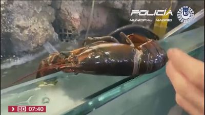 Hallan en Usera 600 kilos de alimentos con etiquetas falsas