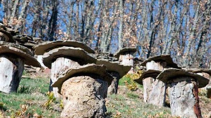 Guadalix, Aranjuez y otros lugares donde algunas cosas tienen otro nombre