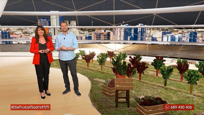Acelgas de colores en Fuenlabrada: una forma divertida y atractiva de comer verdura