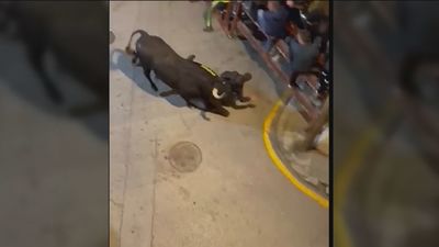 Aparatosa cogida en los encierros de Ajalvir