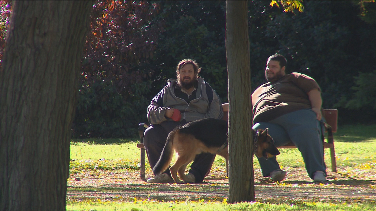 La gordofobia aumenta con las redes sociales