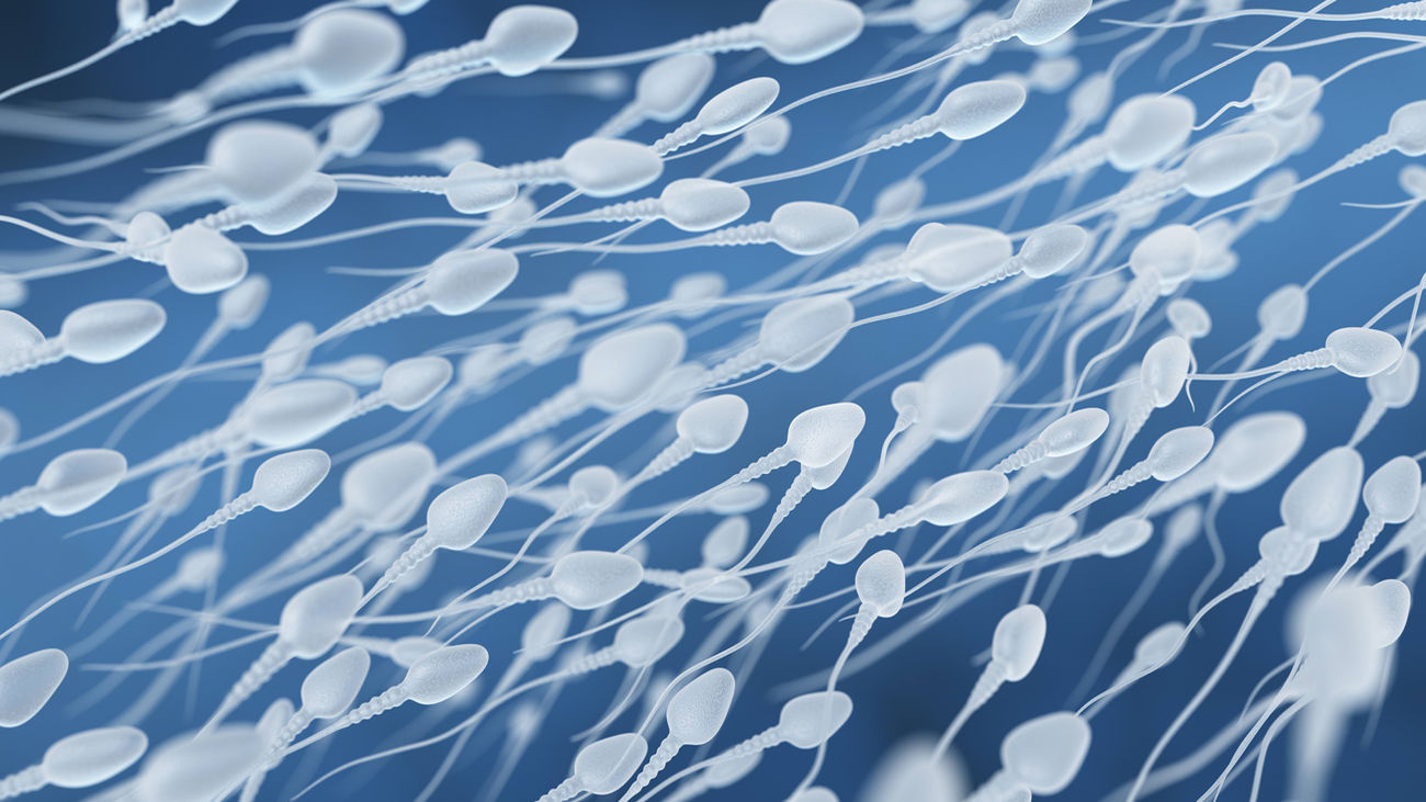 Ser infértil durante unas horas, así podría ser la píldora anticonceptiva masculina