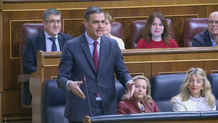 Pedro Sánchez / TELEMADRID