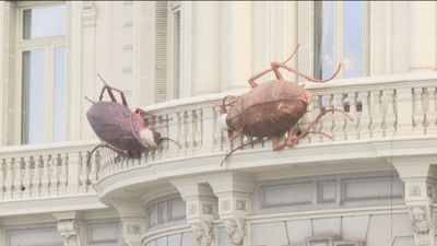 ¿Por qué hay cucarachas gigantes en la fachada de la Casa de América?