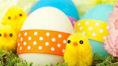 Roba 200.000 huevos de chocolate y casi arruina la Pascua en un pequeño pueblo de Inglaterra