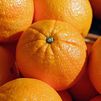 El aceite de naranja, una alternativa a los actuales combustibles, desarrollado en Madrid