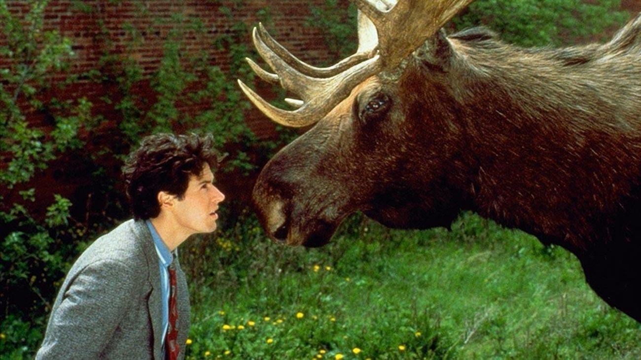 Enseriados: Enseriados Classics