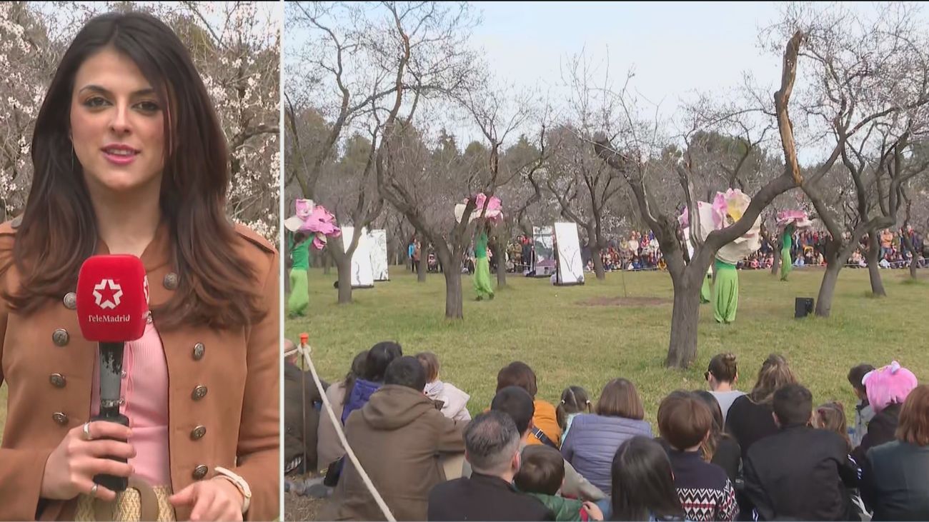 La Quinta de los Molinos celebra la fiesta de los almendros en flor